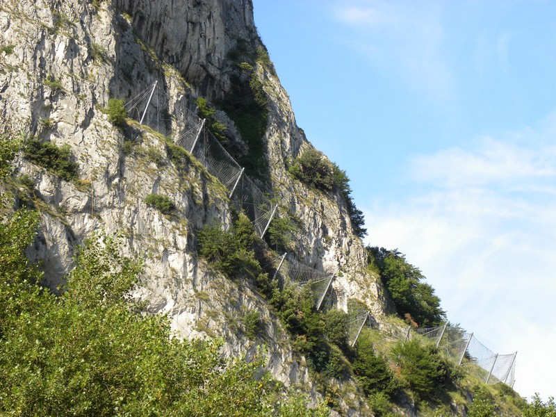 ORTE FALCONARA